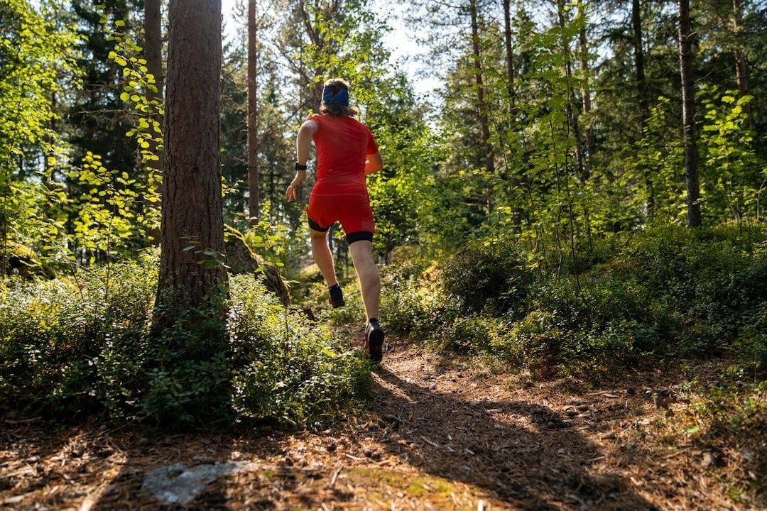 Suunnistaja juoksee metsäpolulla korkeuseroja hahmottaen
